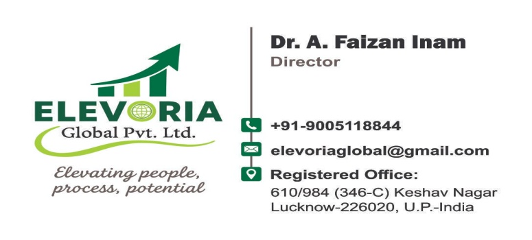 Elevoria Global Logo